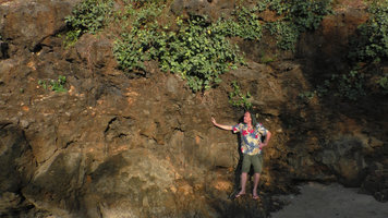 Patrick Blanc standing along a seashore karst cliff covered by a creeping Ficus, Pacitan, Java, May 2018