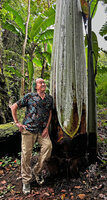 Patrick Blanc standing at the base of Musa ingens, the tallest banana of the world, Kwau, 1600 m asl, Arfak Mts, West Papua, May 2025