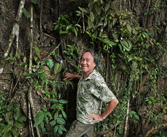 Patrick Blanc standing close to a shaded limestone cliff covered by Gynura calciphila, Begonia integrifolia and the feathery brown leaved flowering Kaempferia pulchra, Phang Nga,Thailand, June 2019