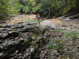 Patrick Blanc standing on the limestone rock slabs of an intermittently fast flowing forest river, the habitat of Homalomena stollei, War Inkabom Waterfall, Batanta, Southwest Papua, May 2025