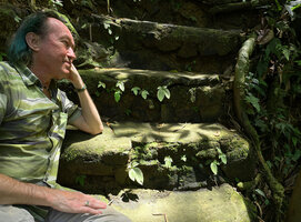 Patrick Blanc surprised to see Tetraphyllum roseum, considered as a rare species, growing here on the steps of a stair close to a waterfall, Phang Nga, Thailand, March 2022