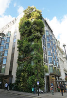 Patrick Blanc taking a photo of his eight years old vertical garden at the Athenaeum hotel, London, Sept. 2017