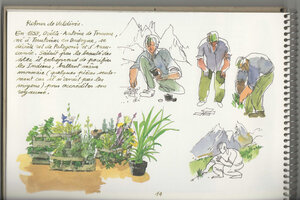 Patrick Blanc taking care of Chillean plants, Festival international des Jardins, Chaumont-sur-Loire, 1994 , aquarelles Fabrice Moireau