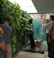 Patrick Blanc taking care of the new vertical garden under the gaze of Kazuhito Yoshii, New York, July 2016