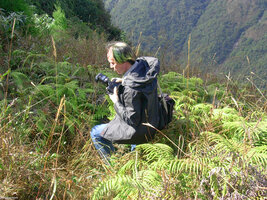 Patrick Blanc taking photos of ferns in Meghalaya, India, Dec. 2003