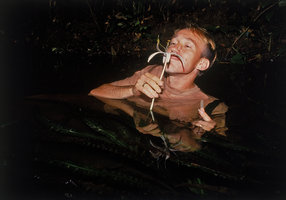 Patrick Blanc testing the Crinum natans perfume, Campo, Cameroun, 1991