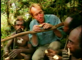 Patrick Blanc testing the sweet potato, Ipomoea batatas with Una men, Laryé, West Papua, April 2000