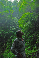 Patrick Blanc under a canopy of Elatostema growing on a vertical seeping rock, Batukau, Bali, Feb 2010