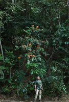 Patrick Blanc under a flowering Saraca declinata, Selama, Perak, Malaysia, Feb. 2019
