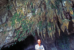 Patrick Blanc under a Monophyllaea pendula population, Gunung Mulu NP, Borneo, July 2005