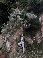 Patrick Blanc under an old Anthyllis barba-jovis, Theoule, France, Oct. 2020