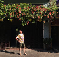 Patrick Blanc under a Quisqualis indica pergola, Hoi An, Vietnam, Oct. 2018