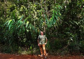 Patrick Blanc under a tall clump of the grass like Joinvillea plicata, Riviere Bleue, New Caledonia, Aug. 2023