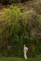 Patrick Blanc under Baeckea frutescens, usually growing on vertical cliffs close to waterfalls, Harau valley, West Sumatra, Dec. 2016