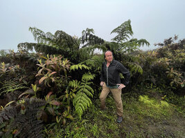 Patrick Blanc under Cyathea weatherbyana surrounded by Miconia robinsoniana, El Puntudo, Santa Cruz, Galapagos, Aug. 2021