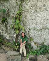 Patrick Blanc under ferns growing in a limestone vertical fissure, Jidor waterfall, Malang, Java, April 2018