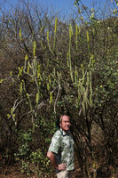 Patrick Blanc under flowering Euphorbia borenensis, Nech Sar NP, Arba Minch, Ethiopia, Jan. 2019