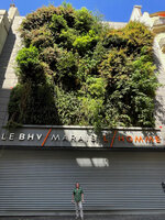 Patrick Blanc under his 14 years old vertical garden at BHV Homme, Paris, July 2021