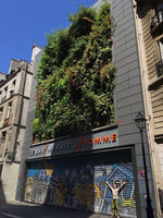 Patrick Blanc under his BHV Homme Vertical Garden, eight years after its installation, Paris, 6th Aug 2015