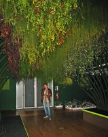 Patrick Blanc under his Plafond Vegetal, Green Ceiling, at the EDF Electra exhibition, Paris