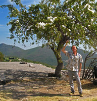 Patrick Blanc under Ipomoea arborescens, Mexico, 2010