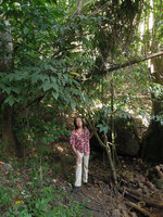Patrick Blanc under Leea aculeata, Lembeh, Sulawesi, Aug. 2015