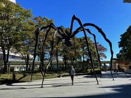 Patrick Blanc under Maman, the spider by Louise Bourgeois at Roppongi, Tokyo, Oct. 2023
