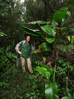 Patrick Blanc under the big leaves of Heliconia farinosa by a rainy day, Serra do Tabuleiro, Santa Catarina, Brazil, Oct. 2018