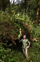 Patrick Blanc under the clump of a saxicolous Hedychium, Hang Cop Waterfall, Dalat, Vietnam, Nov. 2019