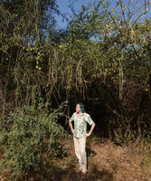 Patrick Blanc under the curtaining stems of the climbing Cissus quadrangularis, Nech Sar NP, Arba Minch, Ethiopia, Jan. 2019