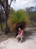 Patrick Blanc under the dappled shade of the Xanthorrhoea australis leaves, Freycinet NP, Tasmania, Jan 2014