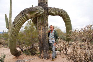 Patrick Blanc under the drooping branches of an old Carnegiea gigantea, Saguaro NP, Arizona, Feb. 2010