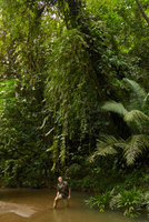 Patrick Blanc under the flagelliferous hanging stems of a climbing Marcgravia,Terco, Nuqui, Choco, Colombia, Nov. 2016