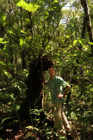 Patrick Blanc under the huge epiphytic Medinilla amplectens, Mt Kinabalu, Sabah, Borneo, Aug. 2018