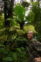 Patrick Blanc under the monocaulous Pentagonia macrophylla whose old huge leaves ae totally covered by epiphylls such as algae, mosses and liverworts,Terco, Nuqui, Choco, Colombia, Nov. 2016