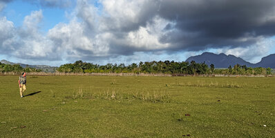Patrick Blanc walking along the flat banks of lake Ira Lalaro, covered by grasses and other herbaceous plants grazed by cattle during the dry season, Nino Konis Santana NP, Timor-Leste, Aug. 2026