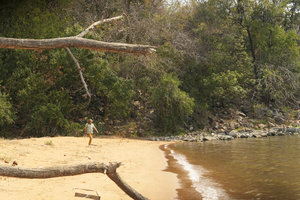Patrick Blanc walking along the lake shore,  Nsumbu NP, Tanganyika lake, Zambia, Sept. 2017