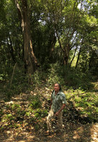 Patrick Blanc walking among ferns in a relict patch of rainforest due to water resurgence,  Nsumbu NP, Tanganyika lake, Zambia, Sept. 2017