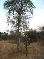 Patrick Blanc walking in deciduous forest, Jaipur, India, Dec. 2006