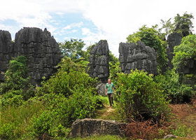 Patrick Blanc walking in karst landscape, Rammang Rammang, Maros, South Sulawesi, June 2019