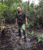 Patrick Blanc walking in the muddy coastal swamp forest, Arusi, Nuqui, Choco, Colombia, Nov. 2016