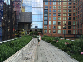 Patrick Blanc walking on the High Line, New York, July 2016
