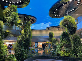 Patrick Blanc walking on the transparent glass floor of the Dreamscape Garden, Terminal 2, Changi airport, Singapore, Sept. 2025