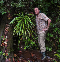 Patrick Blanc with  Alsophila sinuata, the only tree fern with entire fronds, Kanneliya, Sri Lanka, Nov. 2024