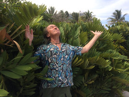 Patrick Blanc with a population of introduced Zamia furfuracea, Miami Beach, Florida, July 2016