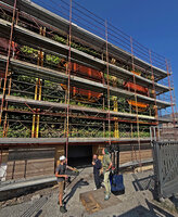 Patrick Blanc with Bob Morard and Jérémie Vaivre after the completion of plant installation on the vertical gardens wrapping the new Oiken substation, Sion, June 2026