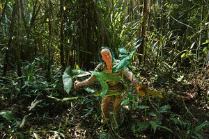 Patrick Blanc with Cyrtosperma merkusii in a freshwater forest swamp, Bukit Timah NR, Singapore, Nov. 2023