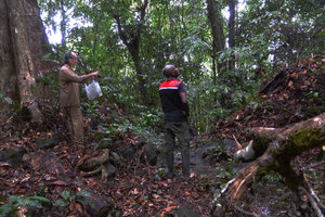 Patrick Blanc with his guide in forest, Kribi, Cameroun, March 2017