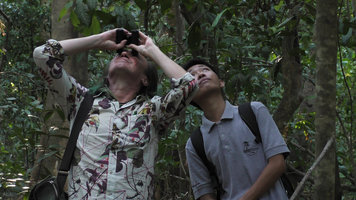 Patrick Blanc with his guide looking at epiphytic species, Tangkoko, Sulawesi, Aug. 2015