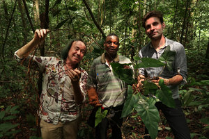 Patrick Blanc with Innocent Medjo and Marc Jeanson, holding the new Cercestis species, Ebodje, Campo, Cameroon, March 2018